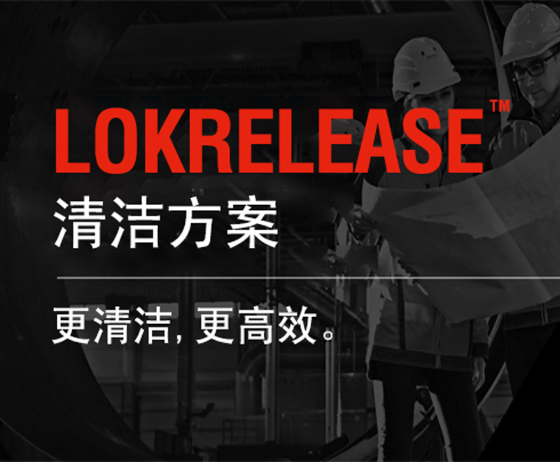LORD LokRelease Rubber Bonding Mold Release and Adhesive Cleaning Solution