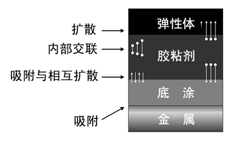 Layers of the components within the Rubber-to-Metal bonded assembly