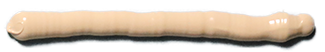 LORD 7545 Neutral Colored Adhesive Bead