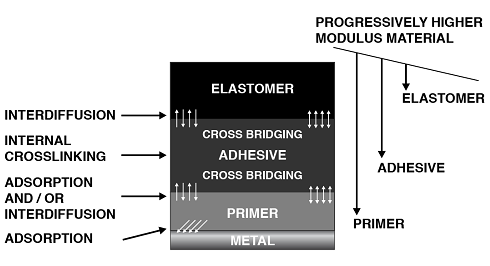 The layers of components within the Rubber-to-Metal bonded assembly are arranged in such a way that they are progressively decreasing in modulus from the primer to the elastomer.