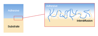 Method of Adhesion - Diffusion or Adsorption Adhesion